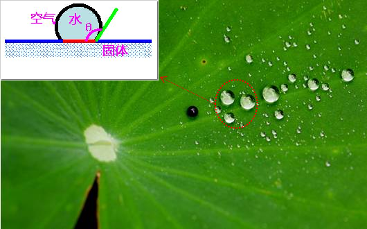 乐鱼leyu科技