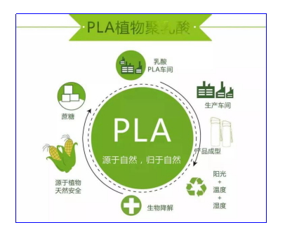 乐鱼leyu科技