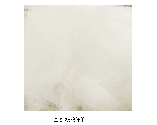 乐鱼leyu科技